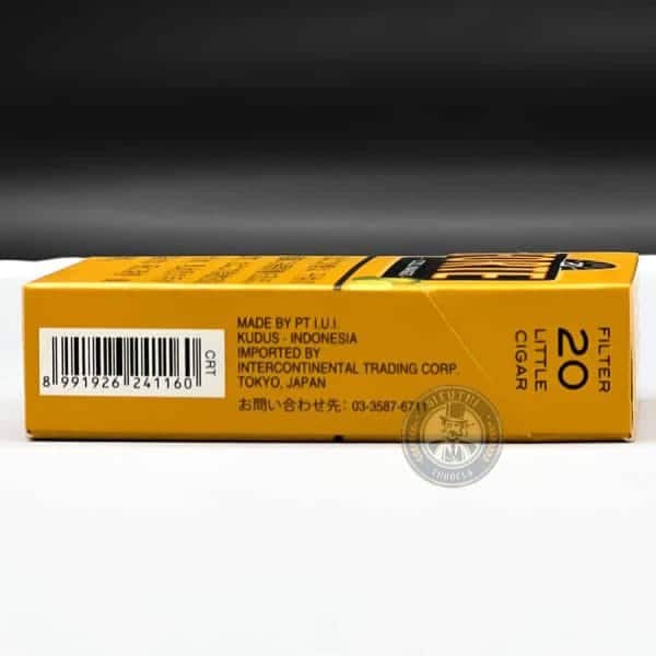 FORTE COOL MANGO (Xoài) - Ảnh 4