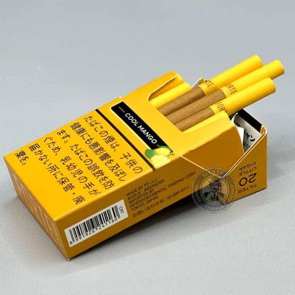 FORTE COOL MANGO (Xoài) - Ảnh 2
