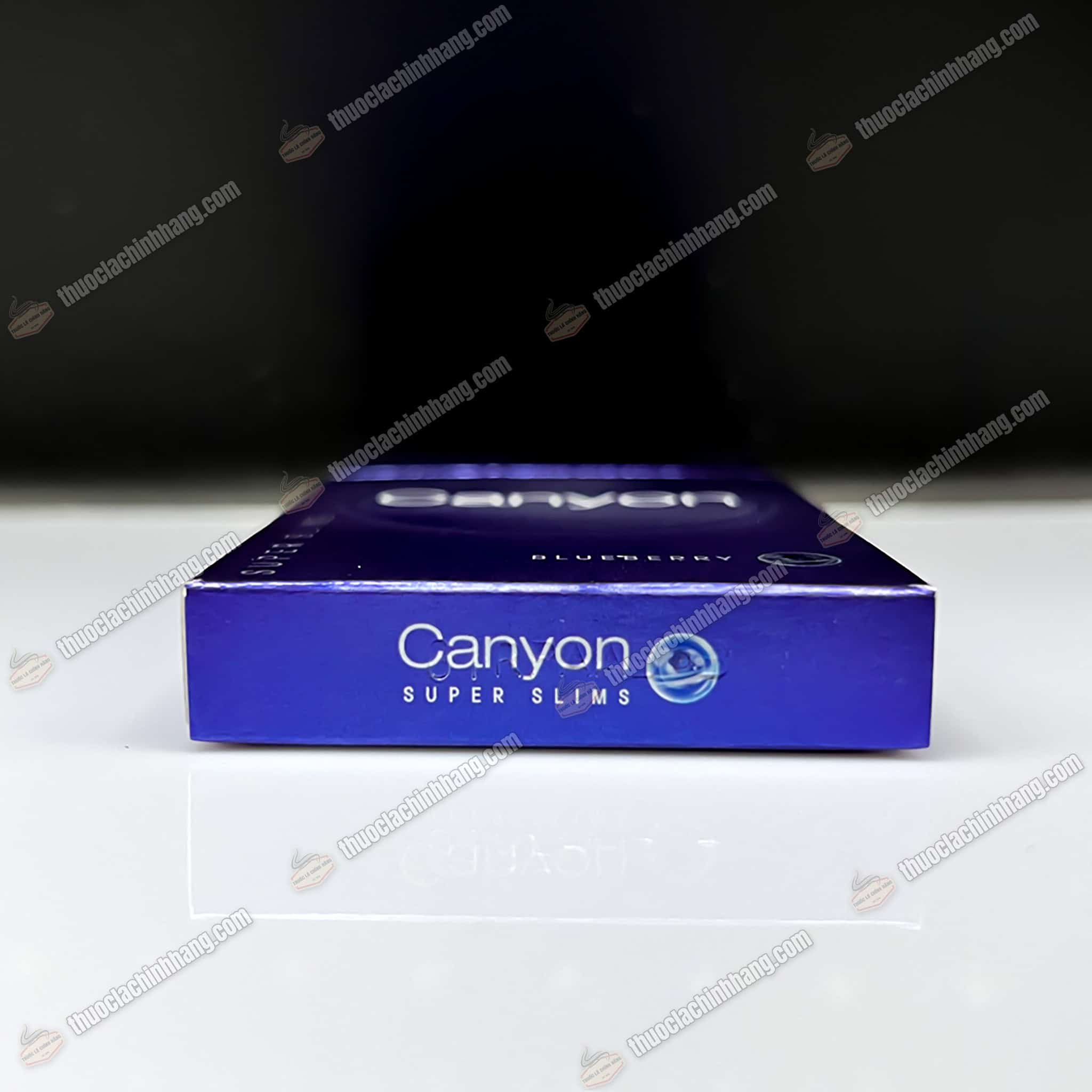 CANYON BLUEBERRY (Việt Quất) - Ảnh 3