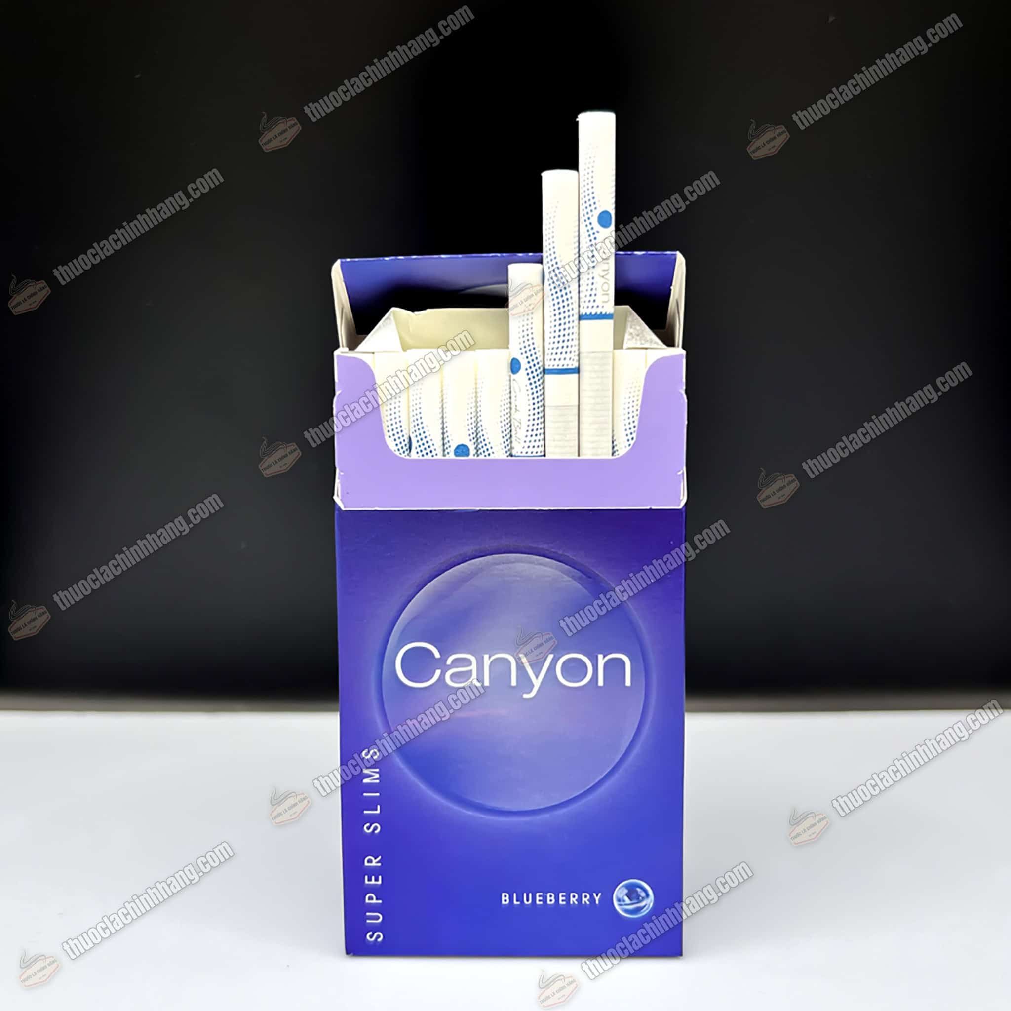 CANYON BLUEBERRY (Việt Quất) - Ảnh 2
